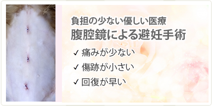 負担の少ない優しい医療、腹腔鏡による避妊手術